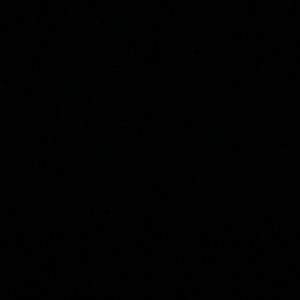 Meet your Posher, Bido